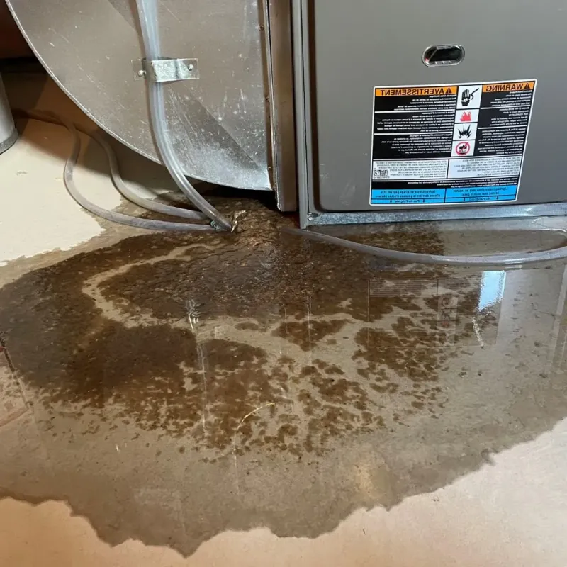 Pipe Burst and Leak Restoration in Arkoma, OK